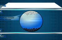 Motion Graphics